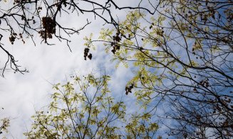 Vreme la extreme în Săptămâna Mare. De la temperaturi de îngheț, la zile calde și însorite