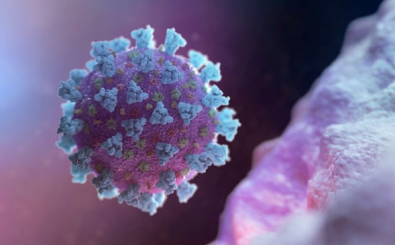 La 5 luni de la apariția primului caz, ce am aflat despre noul coronavirus
