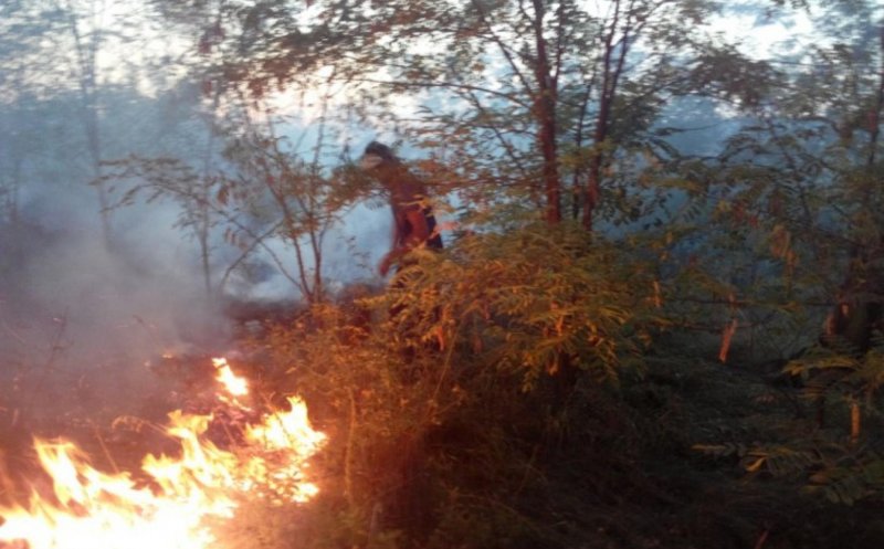 Reguli privind arderea vegetației uscate. Amenzi usturătoare pentru cei care provoacă incendii