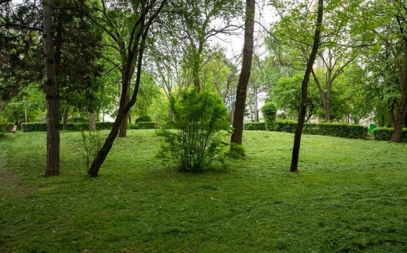 Orban, despre relaxarea restrictiilor: Parcurile ar putea fi deschise / Fără concerte și restaurante/ Posibilitatea de a merge la munte şi mare