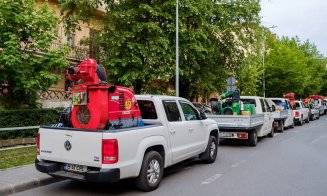 Acțiune de dezinsecție în Cluj-Napoca