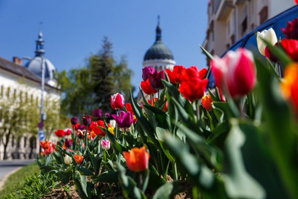 Temperaturi de vară la început de săptămână