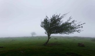 Cod galben de furtună la Cluj: Ploi, vânt şi grindină