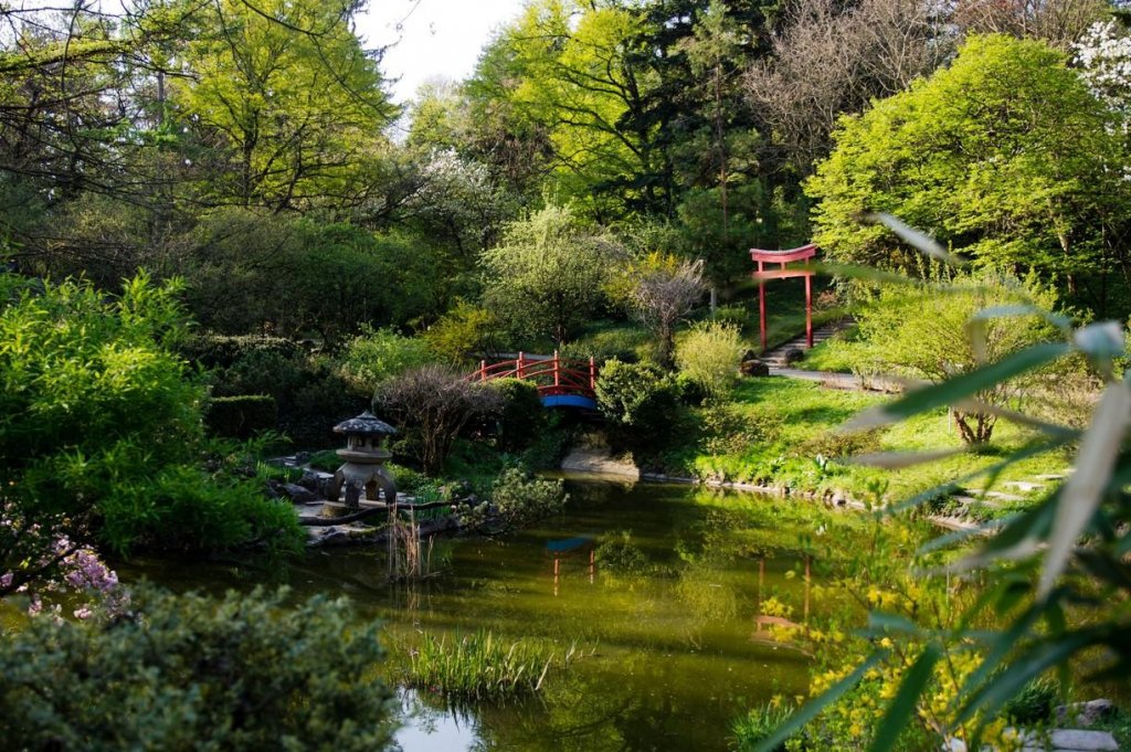 Parcul Sportiv Hațieganu și Grădina Botanică, redeschise. Când le poți vizita