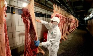 Abatorul-focar din Germania a fost închis. 47 de români sunt infectați, alți 57 au fost plasați în carantină