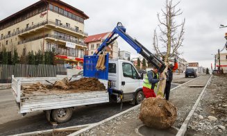 Manifest clujean de Ziua Mediului. "Să avem spațiu verde de minimum 26 mp/locuitor în oraș"