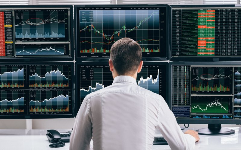 Brokerii clujeni vor intermedia un plasament privat în agricultură