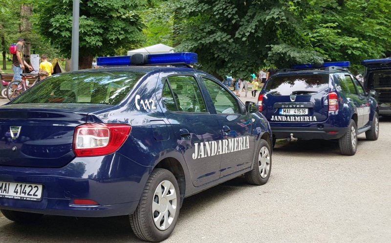 Răfuială în Parcul Central. Distanțarea socială, o glumă bună
