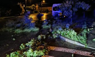 Furtuna a făcut ravagii în Cluj. Drumuri inundate, copaci rupți