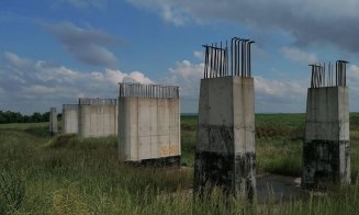 Tronson din Autostrada Transilvania: vegetație luxuriantă, pile cu armături roase de rugină, piloți cu armătura furată