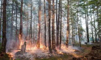 Temperaturi de 38 de grade Celsius în Siberia şi incendii extinse la Cercul Arctic
