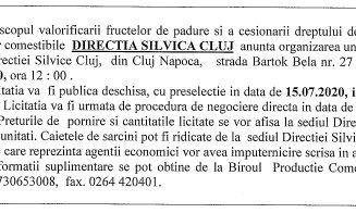 Licitație pentru valorificare a fructelor de pădure și cesionarea dreptului de achizție a ciupercilor comestibile