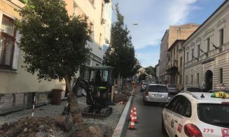 Eco Garden înverzeşte centrul Clujului