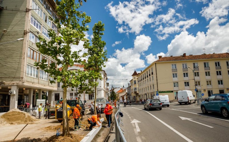A început plantarea arborilor cu balot în Piața „Lucian Blaga”