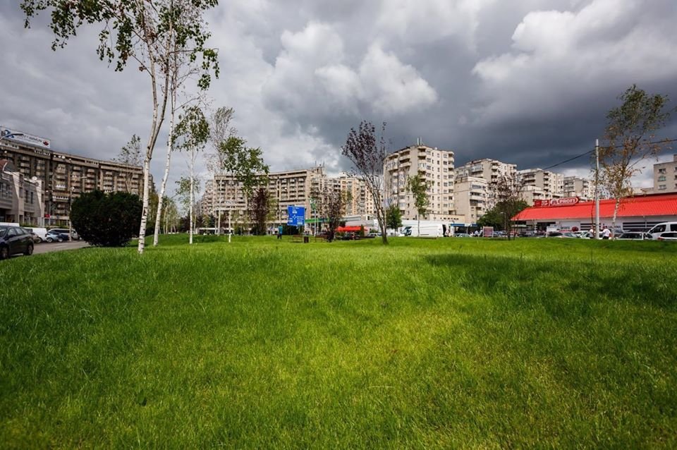 In particular steamer Revival Ziua de Cluj | Aleea Bibliotecii: un nou spațiu verde în cartierul Mărăști In particular steamer Revival Ziua de Cluj | Aleea Bibliotecii: un nou spațiu verde în cartierul Mărăști