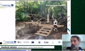 Clujenii au cerut, Primăria Face: cum va fi amenajată pădurea-parc Făget. "Nu va fi tăiat niciun copac!"