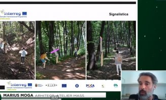 Clujenii au cerut, Primăria Face: cum va fi amenajată pădurea-parc Făget. "Nu va fi tăiat niciun copac!"