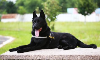 Câinele poliţist Şuier ne învaţă cum să purtăm corect masca de protecţie