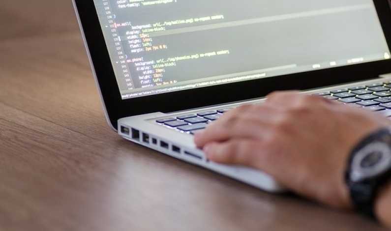 Meserie de viitor, chiar şi în pandemie. Cât câştigă un IT-ist începător?