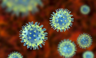 Semne ale imunităţii durabile la Covid-19, chiar şi după infecţii uşoare