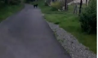 Reglare de conturi la Cluj. Copiii s-au certat, părinții s-au bătut
