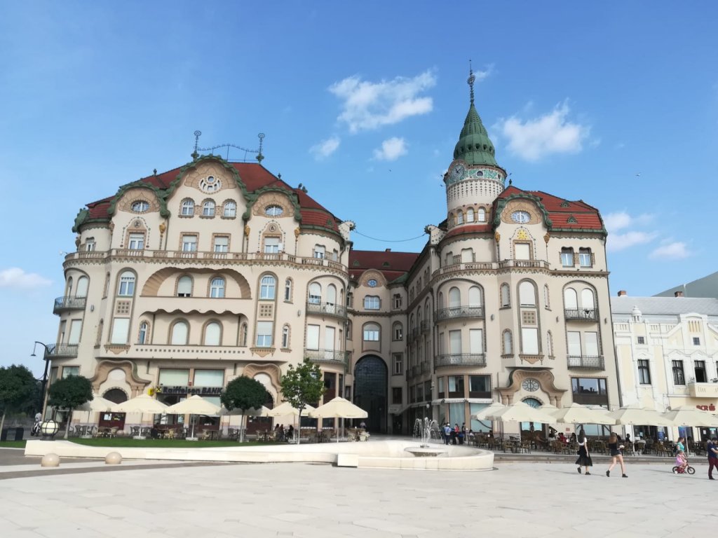 Model de administrare a unui consiliu județean din Transilvania: jumătate dintre angajaţi vor fi daţi afară. "Tăiau frunze la câini"