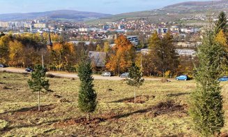 Extinderea Parcului Etnografic din Hoia prinde contur. S-a încheiat prima etapă de plantare