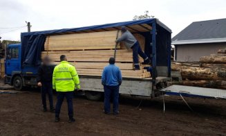 Zeci de metri cubi de material lemnos, confiscat ieri la Cluj