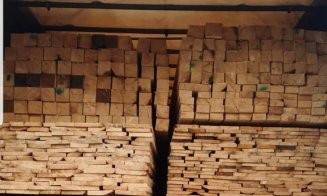 Zeci de metri cubi de material lemnos, confiscat ieri la Cluj