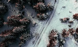 Tablou de poveste la Cluj, după prima ninsoare. Top 10 fotografii de la munte