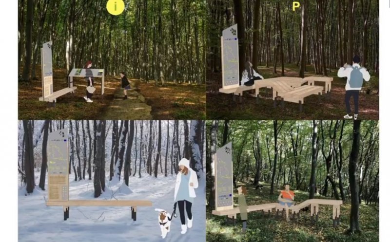 Undă verde pentru Pădurea - Parc Făget. "Nu va fi tăiat niciun copac!"