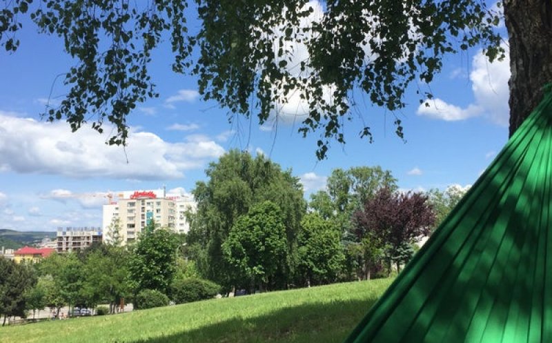 Boc, despre traseul Centurii Metropolitane prin Parcul Colina: "5, 6, 7, 8 ha vor rămâne pentru zonă verde, ne asumăm finanţarea"
