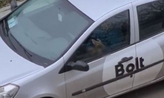 Taximetristul Bolt filmat în timp ce se masturba în mașină a fost reținut de poliție
