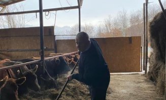 Europarlamentarul Daniel Buda nu uită de animale nici de Crăciun: „Nu degeaba zootehnia se numește industria grea a agriculturii”