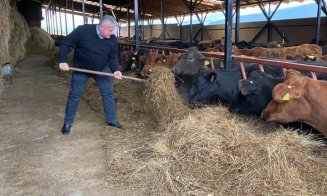 Europarlamentarul Daniel Buda nu uită de animale nici de Crăciun: „Nu degeaba zootehnia se numește industria grea a agriculturii”