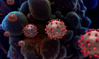 După Franţa şi Germania, a venit rândul Spaniei să raporteaze patru cazuri de infectare cu noua tulpină a coronavirusului