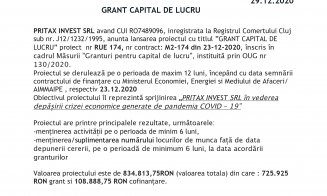 GRANT CAPITAL DE LUCRU