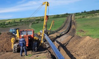 ACI Cluj își angajează manageri pe bandă rulantă