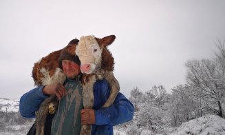 Viața ca o povară.  Necazurile unui văcar de lângă Cluj, împărtășite de un activist, au stârnit zeci de reacții pe Facebook