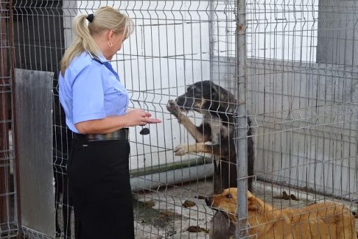 Salarii uriaşe pentru agenţii de la Poliția Animalelor