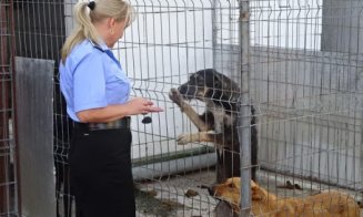 Salarii uriaşe pentru agenţii de la Poliția Animalelor