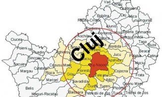 Boc vrea LEGEA dezvoltării ZONELOR METROPOLITANE din România. Creşte influenţa primarilor din municipii?
