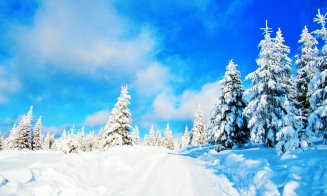 Mai că îți vine să lași totul și să fugi la Băișoara! Iarna, surprinsă în imagini de poveste