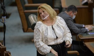 Averea senatoarei AUR, Diana Şoşoacă. Trei case, patru terenuri și mai multe obiecte de artă