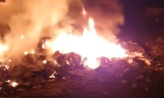 Incendiu pe strada Luceafărului din Cluj