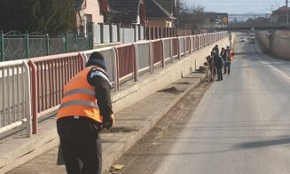 Campanie de curățenie, pe străzile din Câmpia Turzii. Activitățile vor continua
