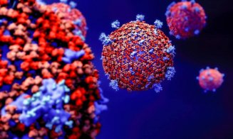 Experiment coronavirus. Nivelurile de anticorpi după vaccin vs după boală