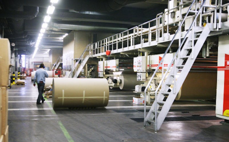 Rondocarton s-a automatizat în pandemie cu 12 milioane de euro. "Am avut vânzări record"
