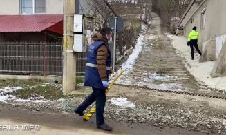 Câine ucis cu cruzime în Cluj. Poliția are un suspect
