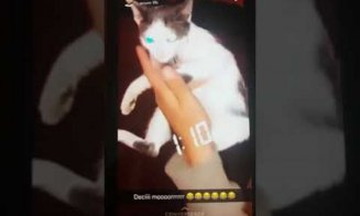 Adolescentul de 16 ani din Cluj, care s-a filmat în timp ce nenorocea o pisică, a fost internat. Va urma un tratament pentru probleme psihice
